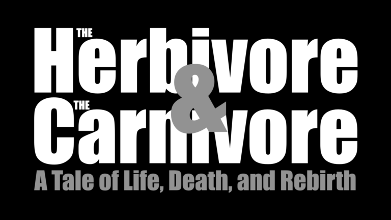 The Herbivore and The Carnivore